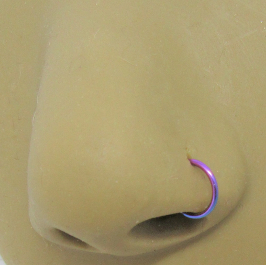 2 Nose Ring Hoops